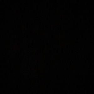 Meet your Posher, Molly